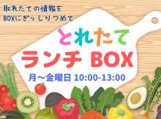 とれたてランチBOX